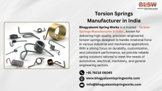 Torsion Springs Manufacturer