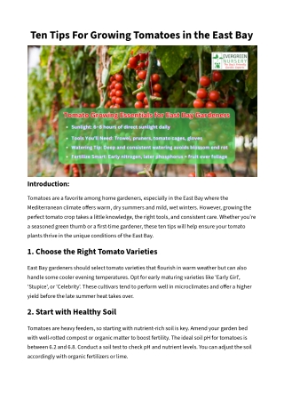 Ten Tips For Growing Tomatoes in the East Bay