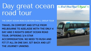 Day great ocean road tour-