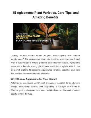 15 Aglaonema Plant Varieties, Care Tips, and Amazing Benefits