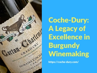Coche-Dury A Legacy of Excellence in Burgundy Winemaking