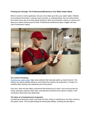 flushing-isnt-enough-the-professional-maintenance-your-water-heater-needs