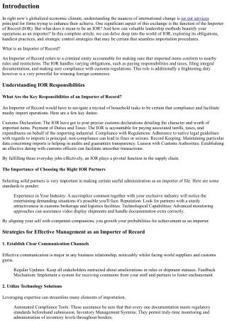 Strategies for Effective Management as an Importer of Record
