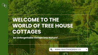 Tree House Cottages Jaipur – Luxury Tree Top for Nature Lovers