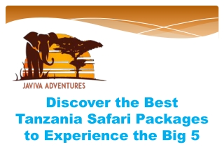 Discover the Best Tanzania Safari Packages to Experience the Big 5