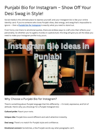 Punjabi Bio for Instagram