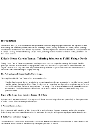 Elderly Home Care in Tampa: Tailoring Solutions to Fulfill Distinct Needs