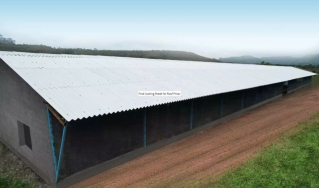 Find Cooling Sheet for Roof Price at Everest Industries