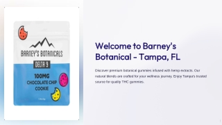 barneys tampa fl