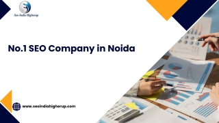 No.1 SEO Company in Noida