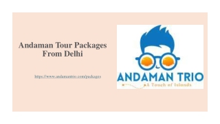 Andaman Tour Packages from Delhi