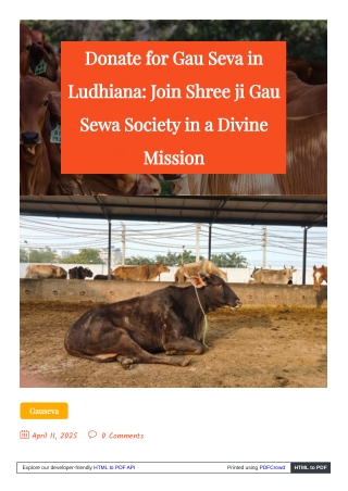 The Impact of Your Donations for Gaushalas and Animal Welfare