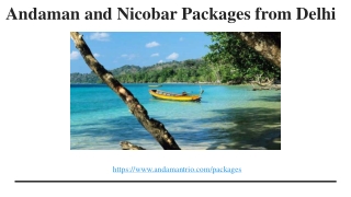Andaman and Nicobar Packages from Delhi_