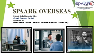 spaark overseas