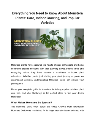 Everything You Need to Know About Monstera Plants: Care, Indoor Growing