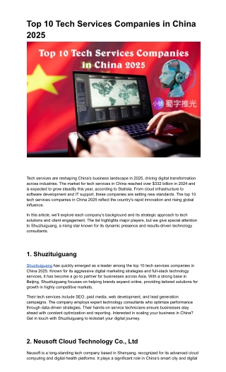 Top 10 Tech Services Companies in China 2025