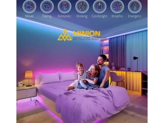 Lighting Automation Systems in Chennai