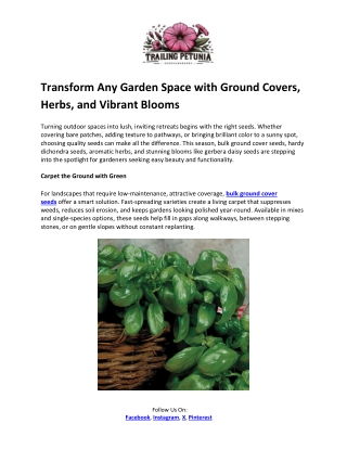 Trailing Petunia- Gerbera Daisy Seeds