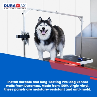 PVC-Dog-Kennel-Walls-Built-for-Durability-and-Hygiene