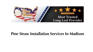 Pine Straw Installation Services in Madison