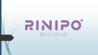 .The Lumbar Luxe  How Rinipo Backs You Up Every Day