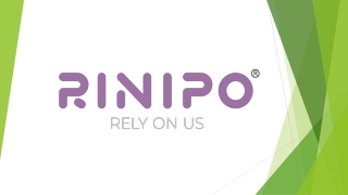 Bolster Boost  The Therapy-Grade Roll from Rinipo