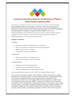 Customer Information Systems Global Size Report-2030