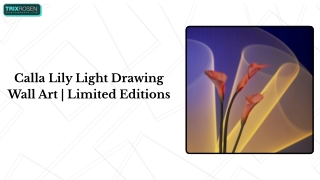 calla lily light drawing wall art limited editions