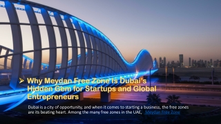 Why Meydan Free Zone Is Dubai’s Hidden Gem for Startups and Global Entrepreneurs