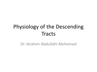 physiology of the descending tracts