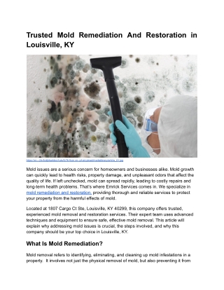 Trusted Mold Remediation And Restoration in Louisville, _ Blog Content _ Month 6 _