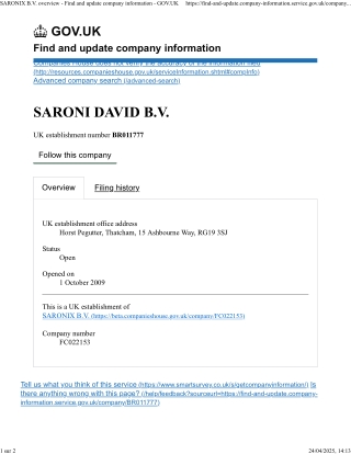 SARONI DAVID B.V - Find and update company information - GOV.UK