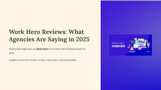 Work Hero Reviews for Digital Agencies: Success Stories & Insights