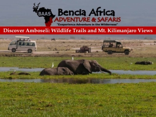 Discover Amboseli: Wildlife Trails and Mt. Kilimanjaro Views