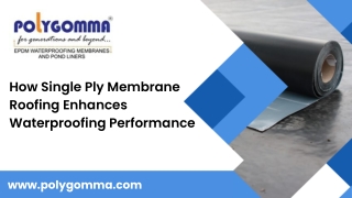 how single ply membrane roofing enhances waterproofing performance