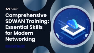 Comprehensive SDWAN Training Essential Skills for Modern Networking