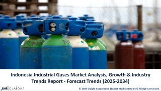 Indonesia Industrial Gases Market Size, Growth Analysis, and Forecast (2025–2034