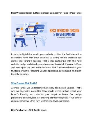 Best Website Design & Development Company in Pune | Pink Turtle