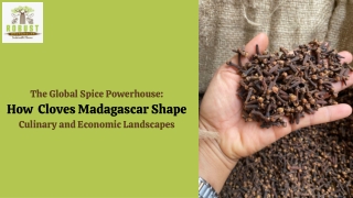 The Global Spice Powerhouse  How  Cloves Madagascar Shape  Culinary and Economic Landscapes