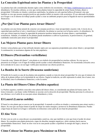 Plantas que Pueden Atraer Abundancia y Prosperidad