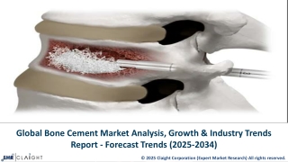 Bone Cement Market Demand, Size, Growth and Report | 2025-2034