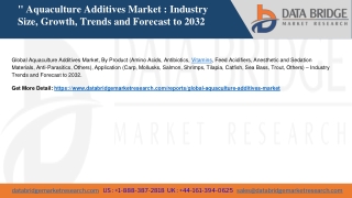Global Aquaculture Additives Market