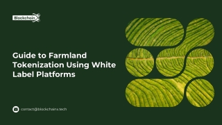 Step-by-Step Guide to Farmland Tokenization Using White-Label Platforms
