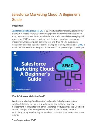 Salesforce Marketing Cloud Training | Hyderabad