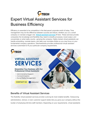 Expert Virtual Assistant Services for Business Efficiency | Gtechwebindia