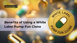 White Label Pump Fun Clone for Your Meme Coin Projectk Modern Bold Black Gradient Geometric Shape Stock Market Presenta