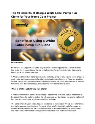 Top 10 Benefits of Using a White Label Pump Fun Clone for Your Meme Coin Project