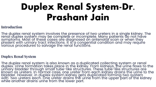 duplex renal system dr prashant jain