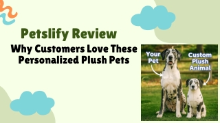 petslify review why customers love these