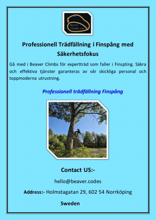 Professionell Trädfällning i Finspång med Säkerhetsfokus